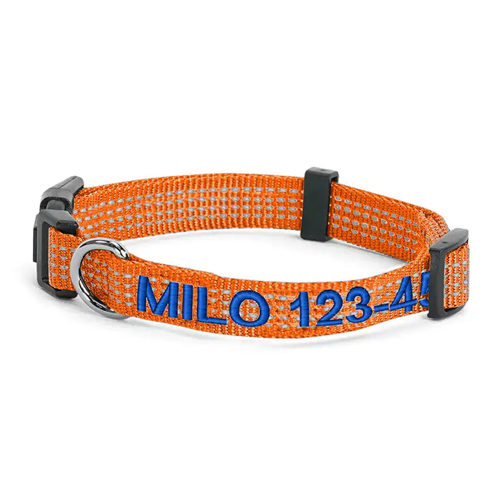 Personalized Custom Reflective Adjustable Dog Collar