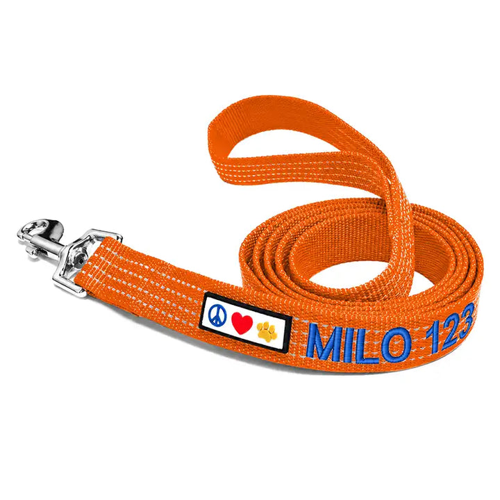 Personalized Custom Reflective Standard Dog Leash 6 Ft