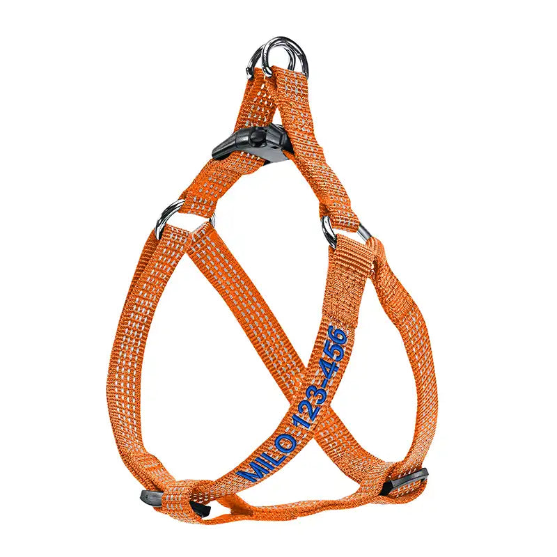 Personalized Custom Basic Dog Harness