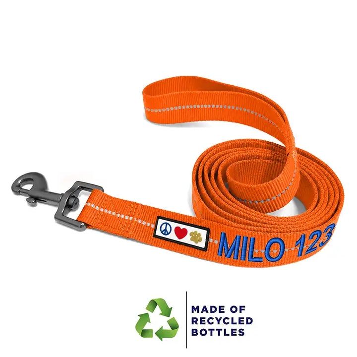 Personalized Custom Recycled Reflective Eco-Friendly Standard Dog Leash 6 Ft