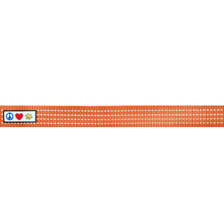 Personalized Custom Nylon Reflective Breakaway Cat Collar with Bell