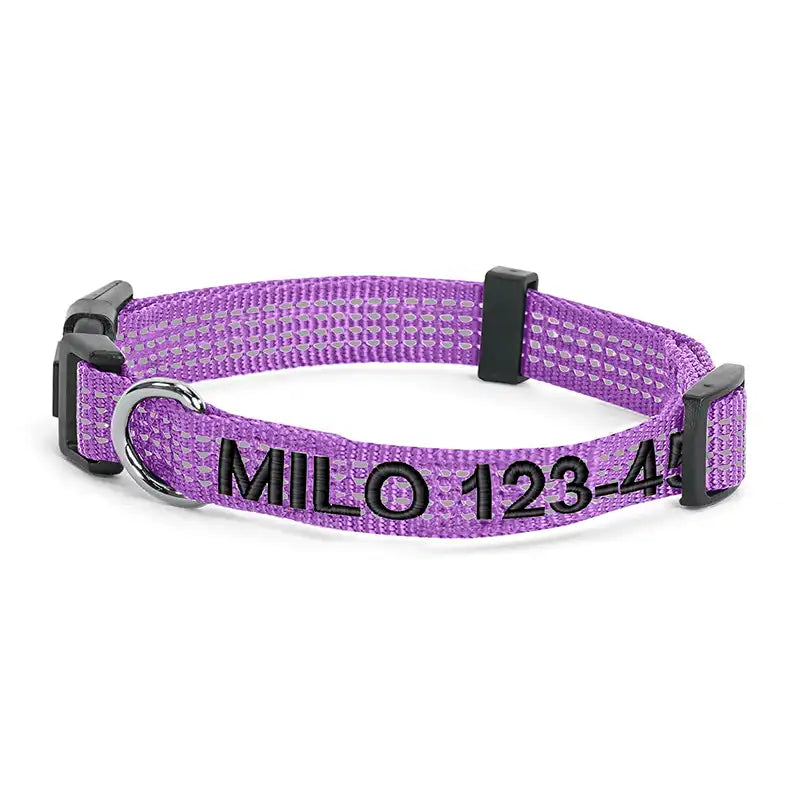 Personalized Custom Reflective Adjustable Dog Collar