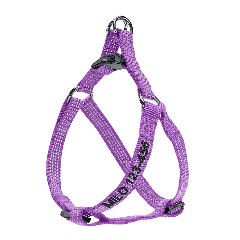 Personalized Custom Basic Dog Harness