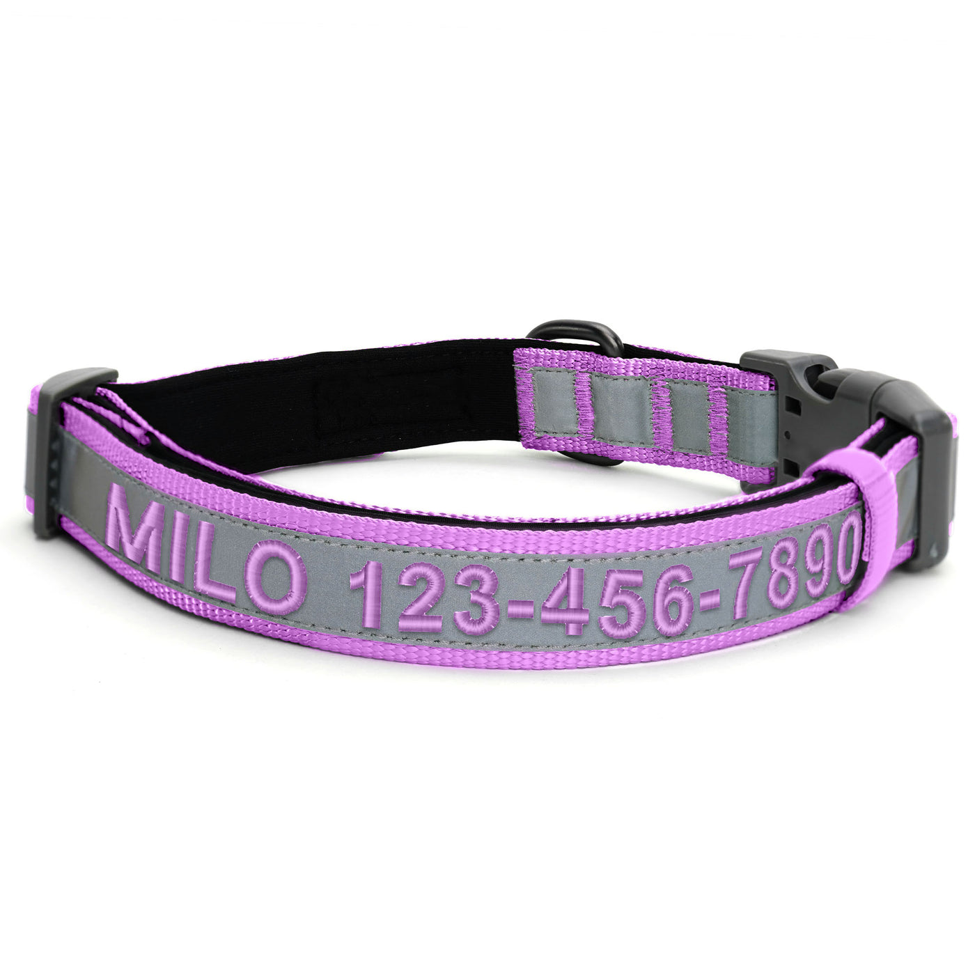 Personalized Classic Dog Collar
