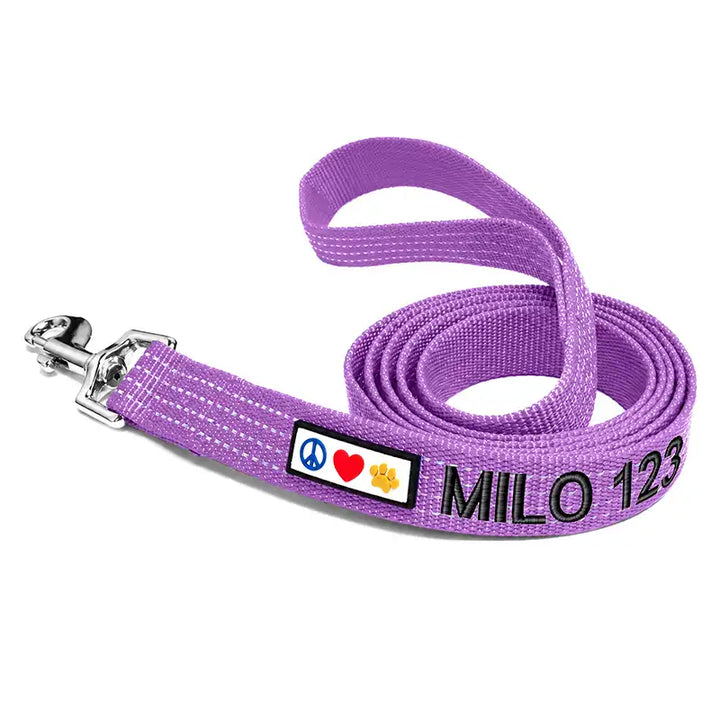 Personalized Custom Reflective Standard Dog Leash 6 Ft