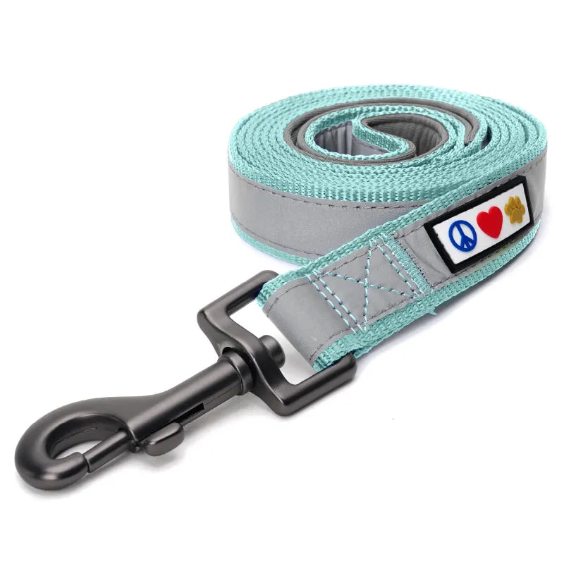 Reflective Padded Leash 6-Ft