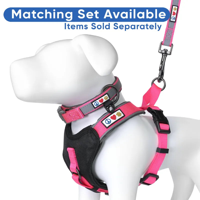 Reflective Padded Leash 6-Ft