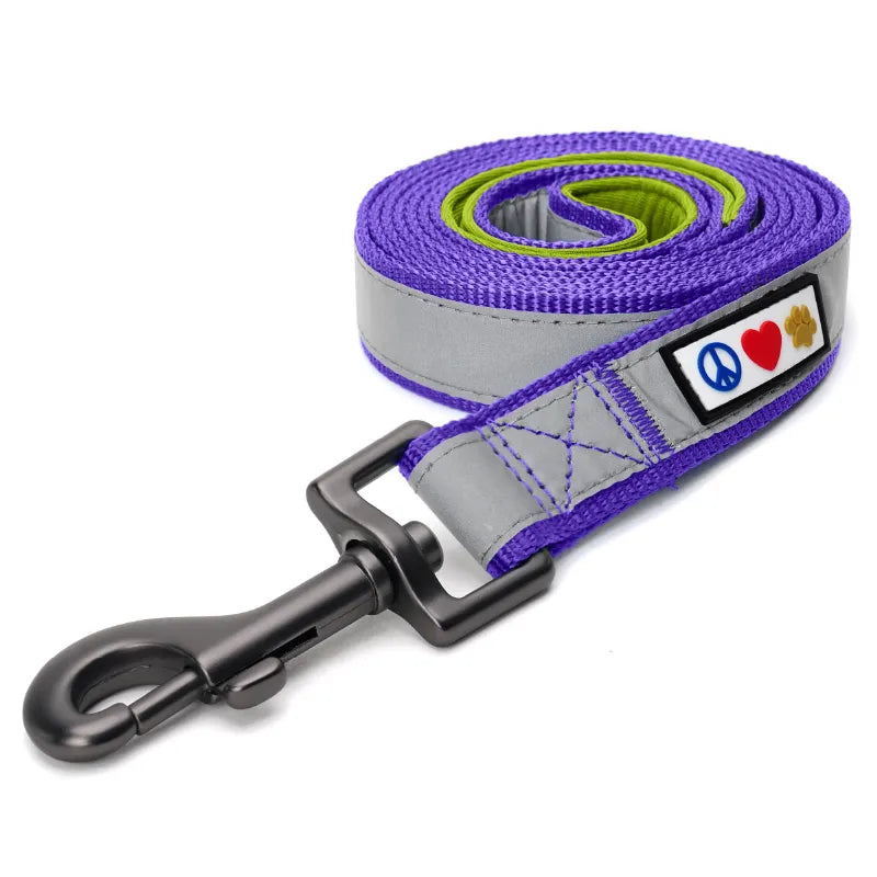 Reflective Padded Leash 6-Ft