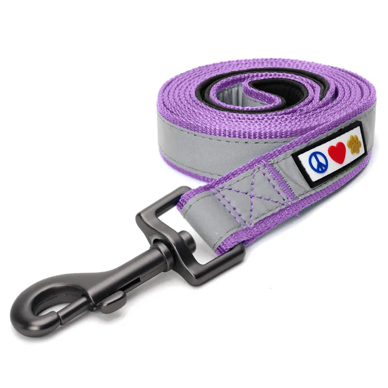 Reflective Padded Leash 6-Ft