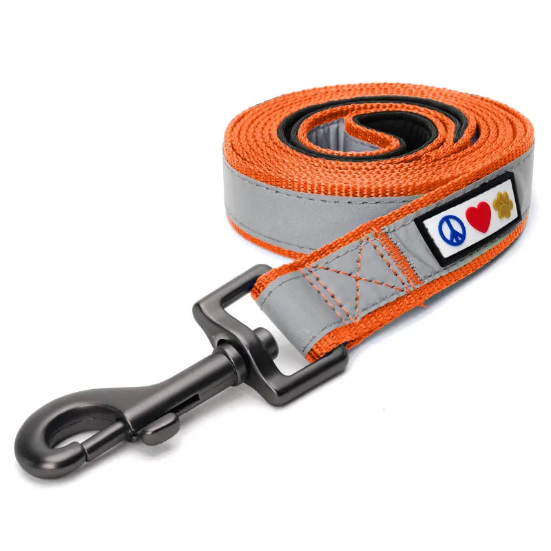 Reflective Padded Leash 6-Ft