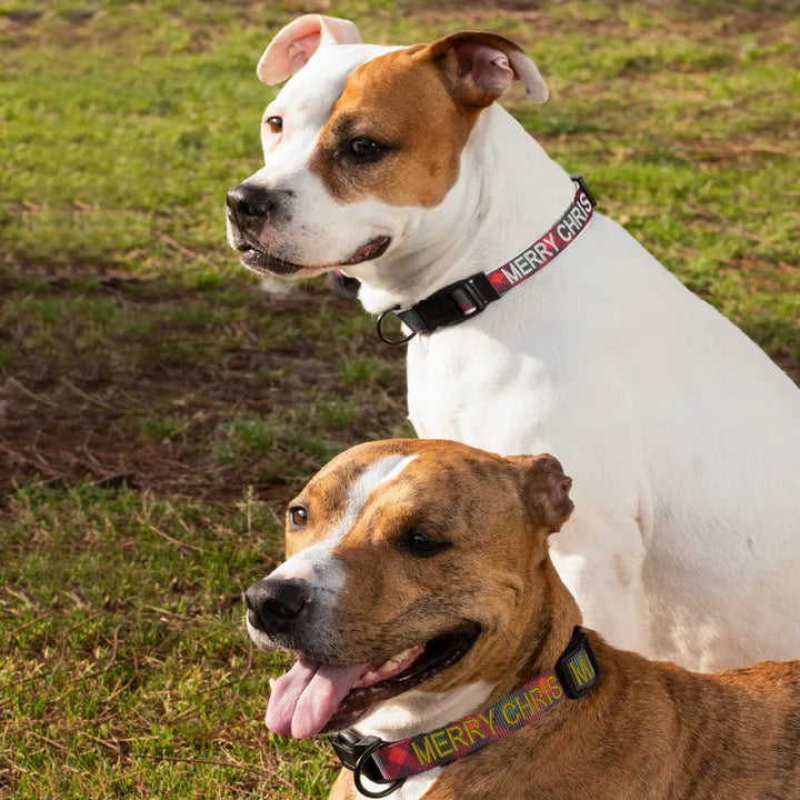 Personalized Christmas Dog Collar