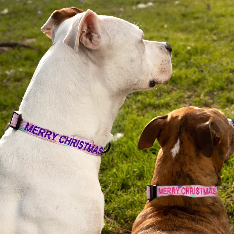 Personalized Christmas Dog Collar