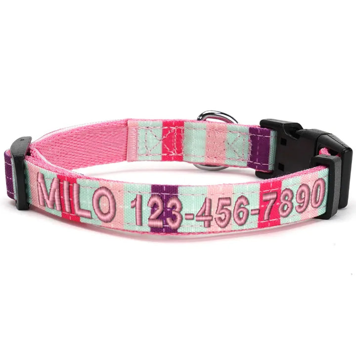 Personalized Multicolor Dog Collar