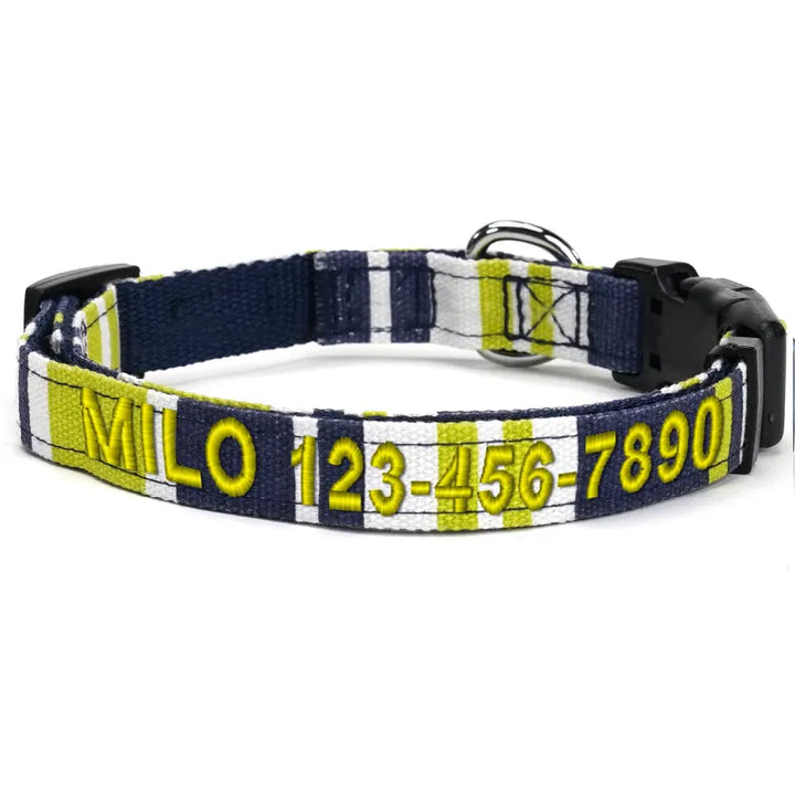 Personalized Multicolor Dog Collar