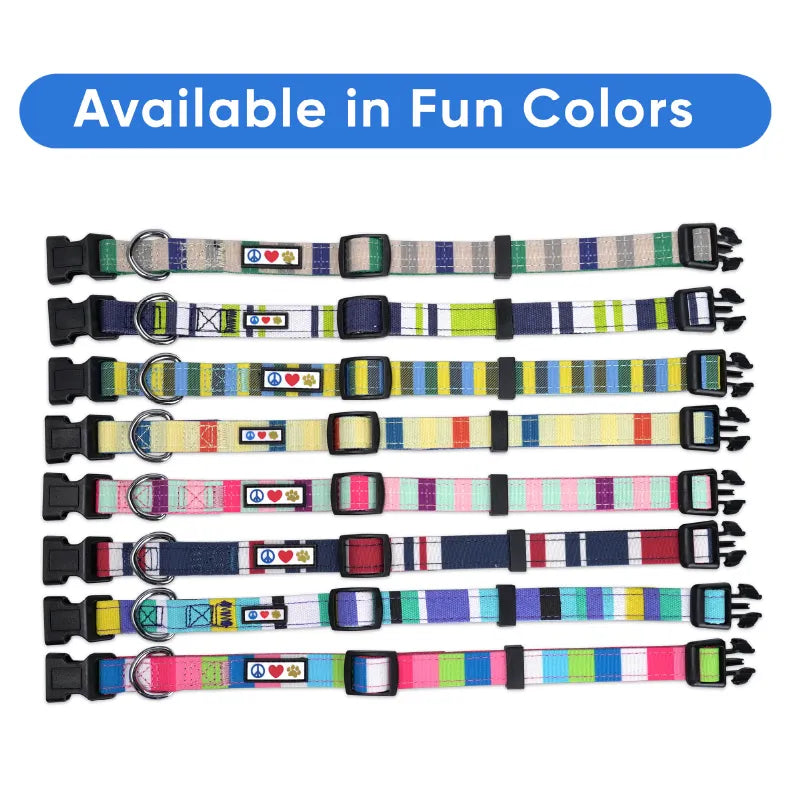 Personalized Multicolor Dog Collar