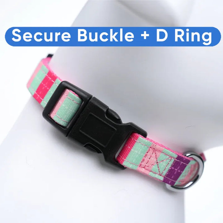 Personalized Multicolor Dog Collar