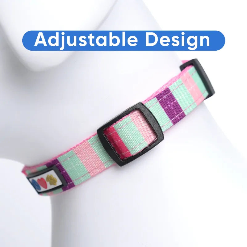 Personalized Multicolor Dog Collar