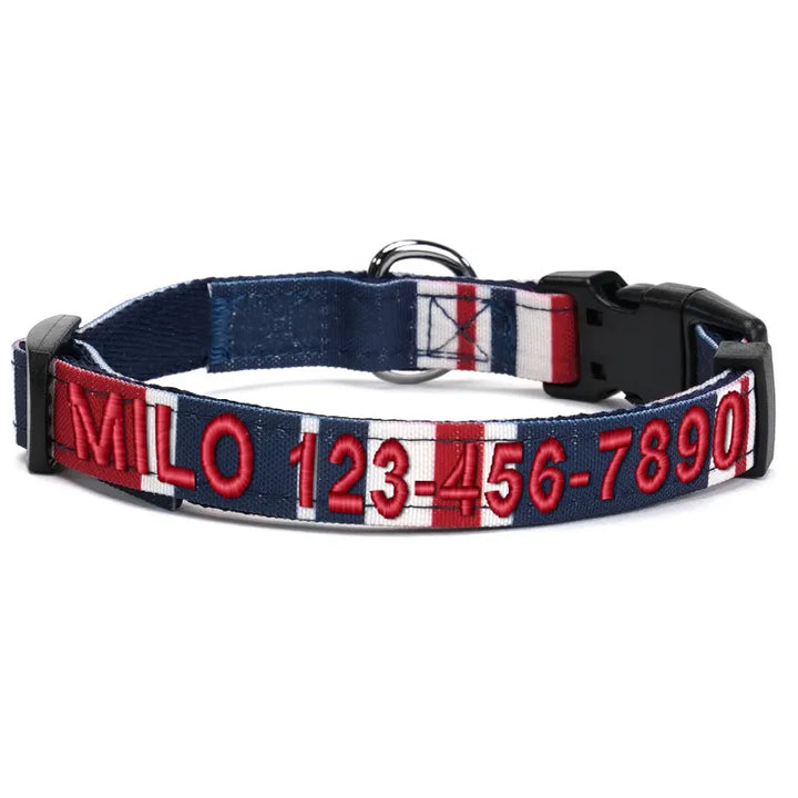 Personalized Multicolor Dog Collar