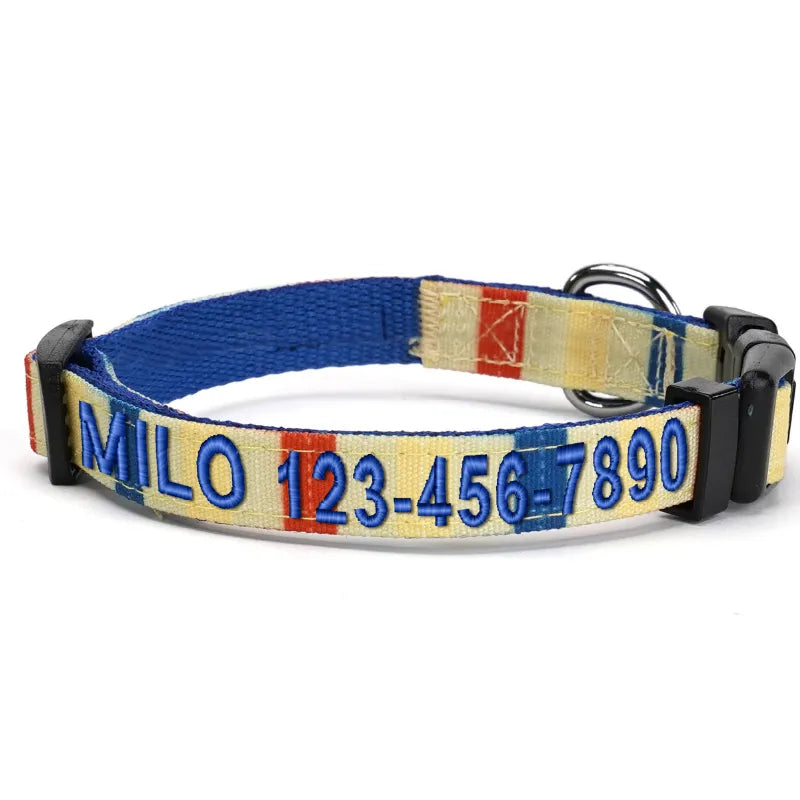 Personalized Multicolor Dog Collar