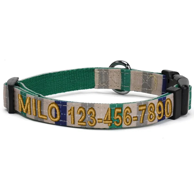 Personalized Multicolor Dog Collar