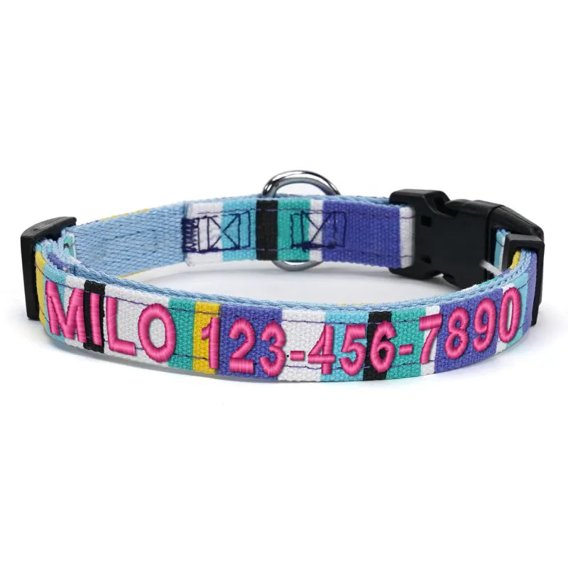 Personalized Multicolor Dog Collar