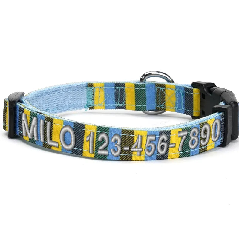 Personalized Multicolor Dog Collar