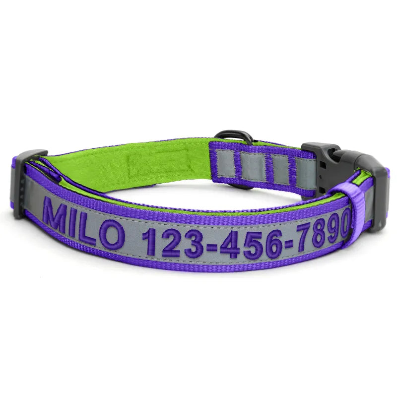 Personalized Classic Padded Reflective Dog Collar