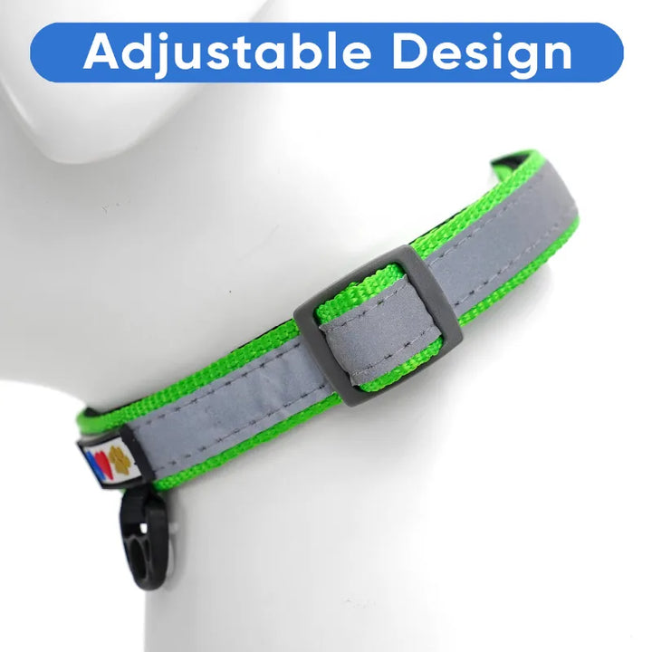 Personalized Classic Padded Reflective Dog Collar