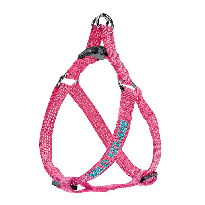 Personalized Custom Basic Dog Harness