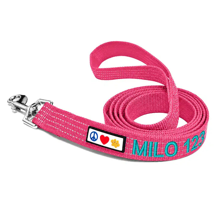 Personalized Custom Reflective Standard Dog Leash 6 Ft