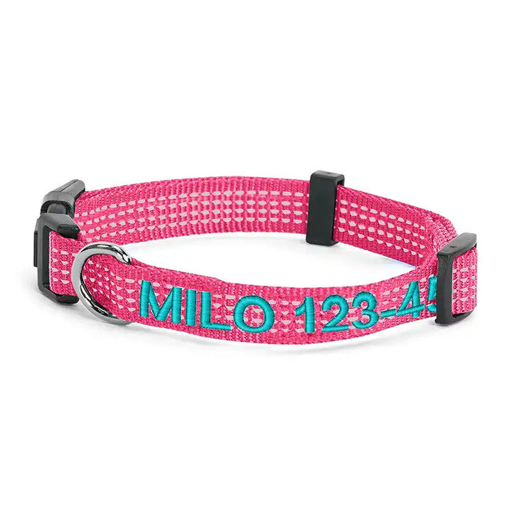 Personalized Custom Reflective Adjustable Dog Collar