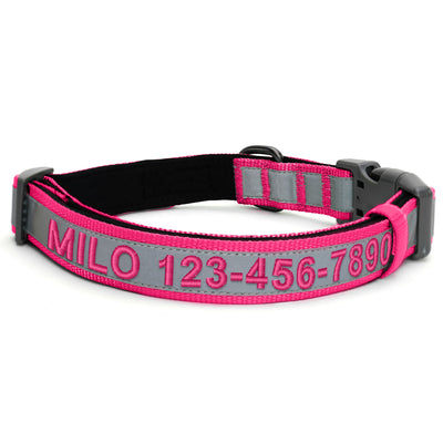 Personalized Classic Dog Collar