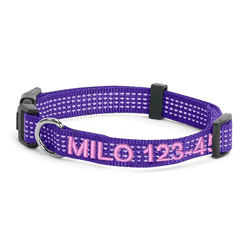Personalized Custom Reflective Adjustable Dog Collar