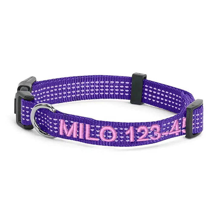 Personalized Custom Reflective Adjustable Dog Collar