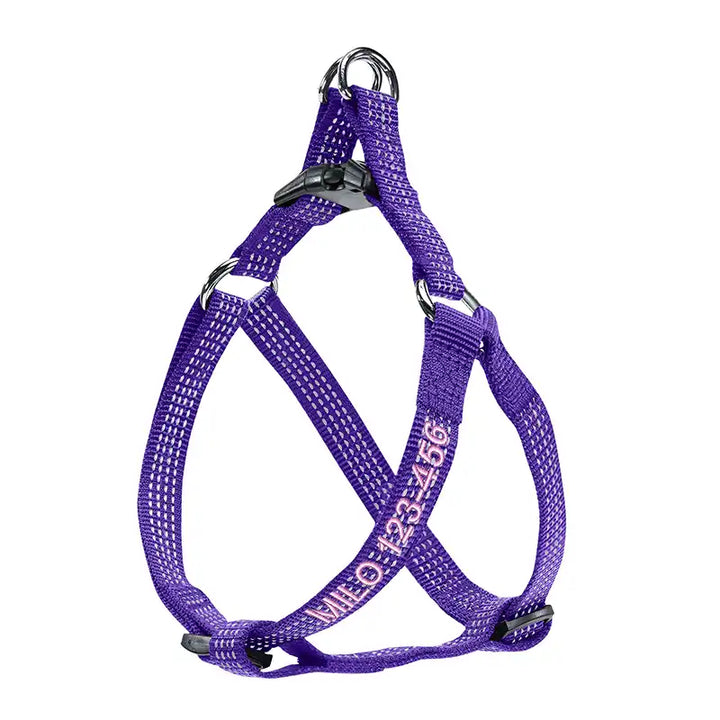 Personalized Custom Basic Dog Harness