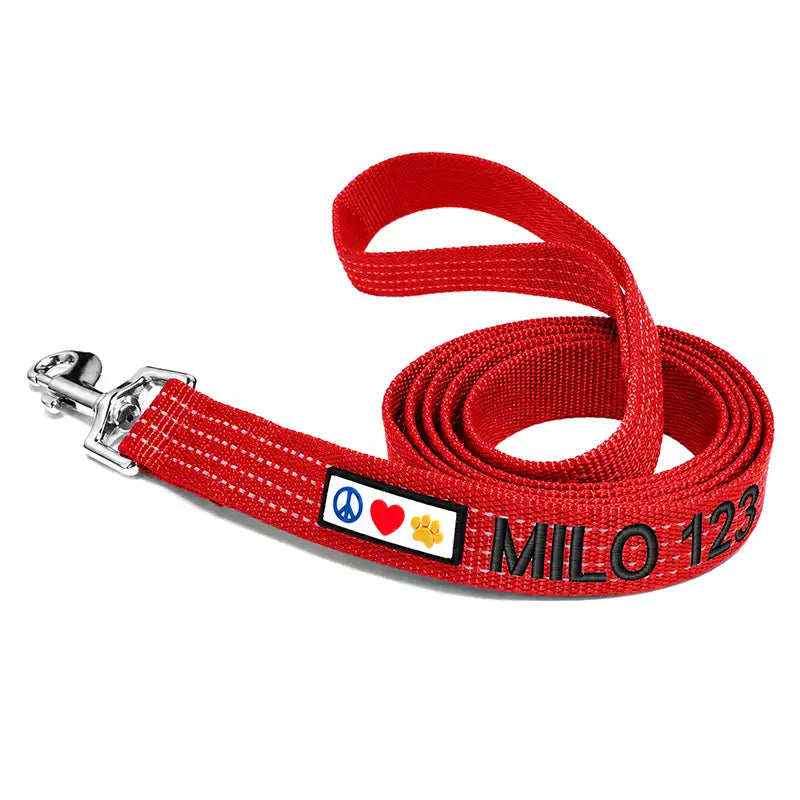 Personalized Custom Reflective Standard Dog Leash 6 Ft