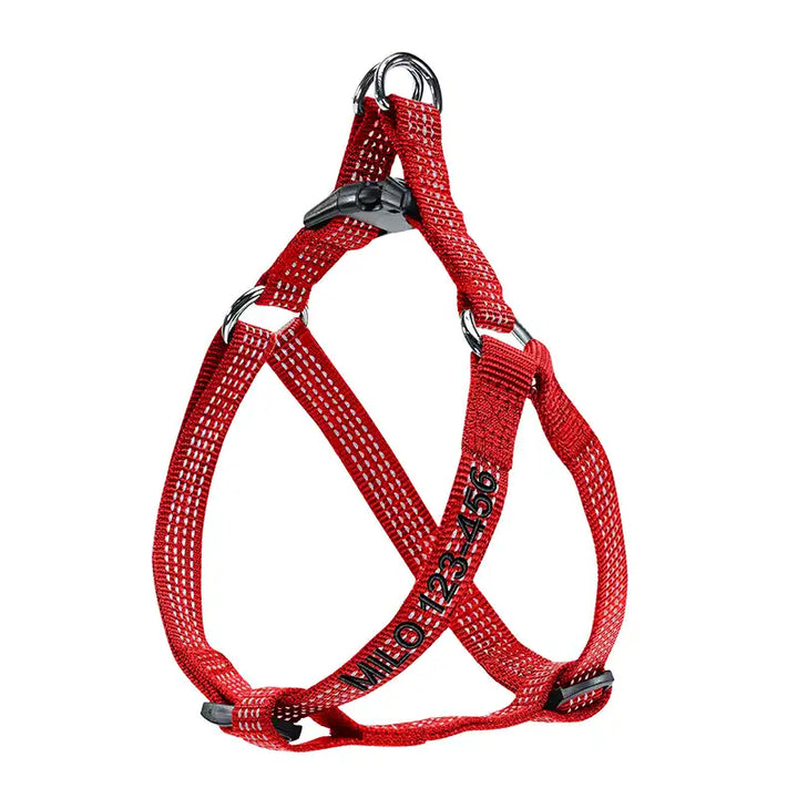 Personalized Custom Basic Dog Harness