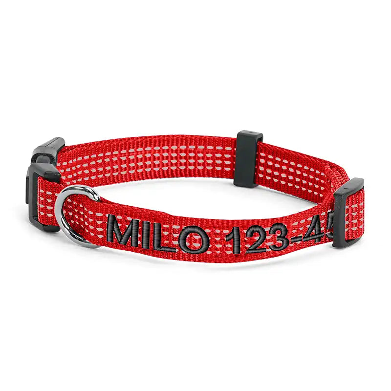 Personalized Custom Reflective Adjustable Dog Collar
