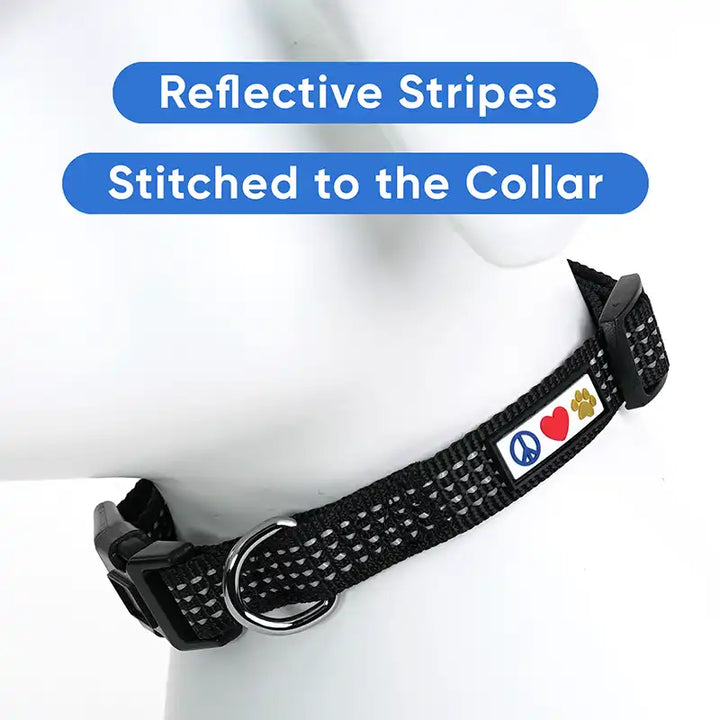 Personalized Custom Reflective Adjustable Dog Collar