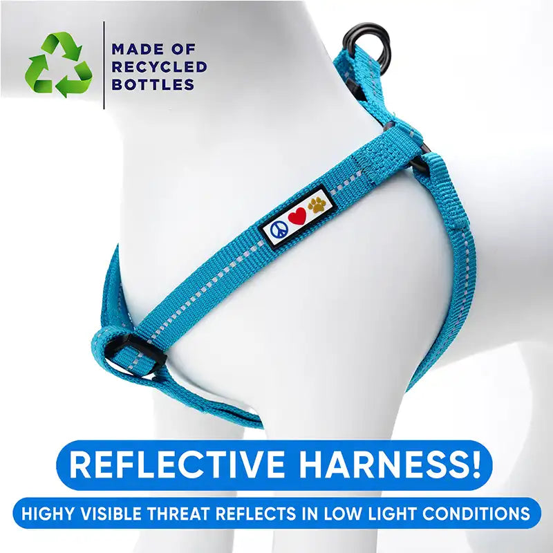 Personalized Custom Recycled Basic Dog Harness