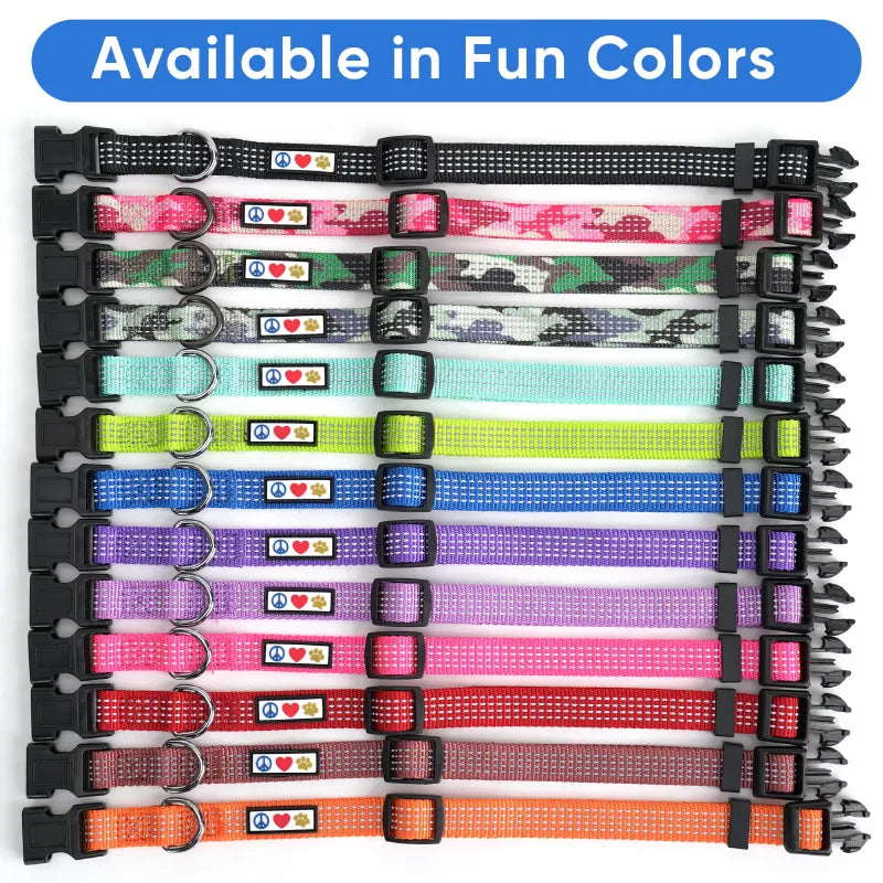 Personalized Custom Reflective Adjustable Dog Collar