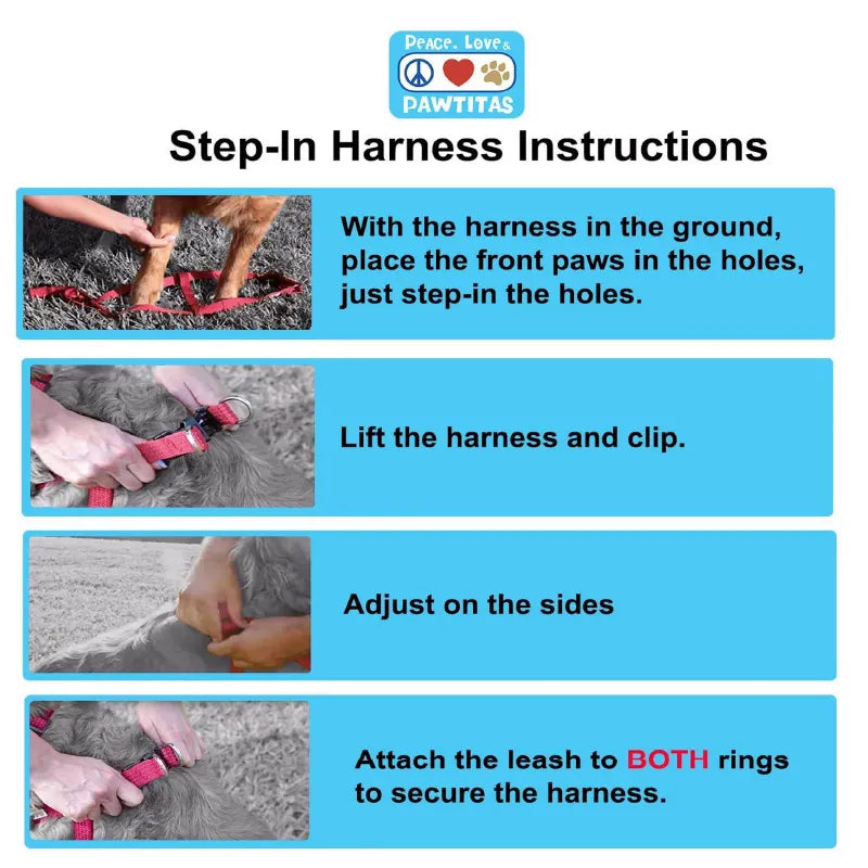 Reflective Step-In Dog Harness