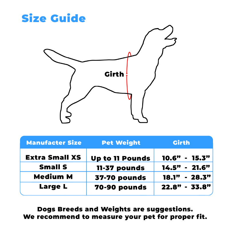 Personalized Custom Basic Dog Harness