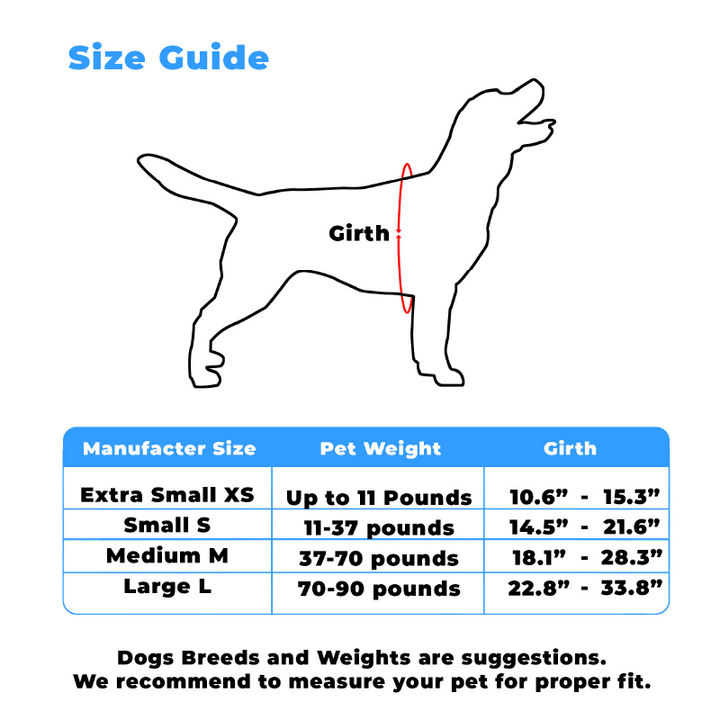Personalized Custom Basic Dog Harness