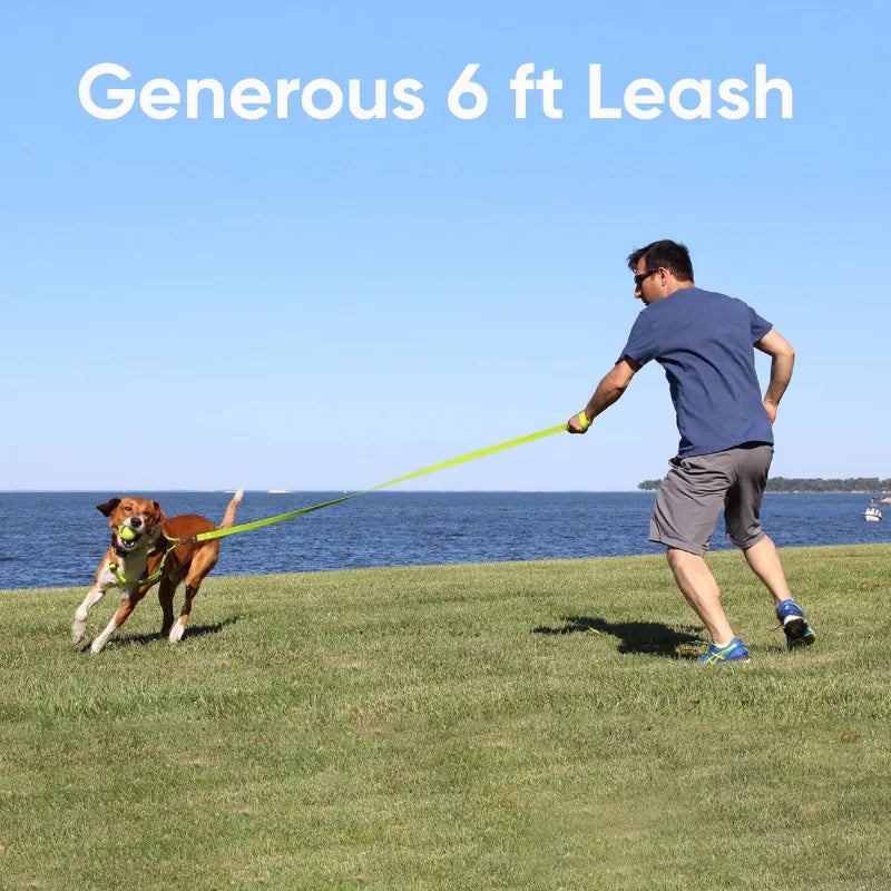 Solid Leash 6-FT