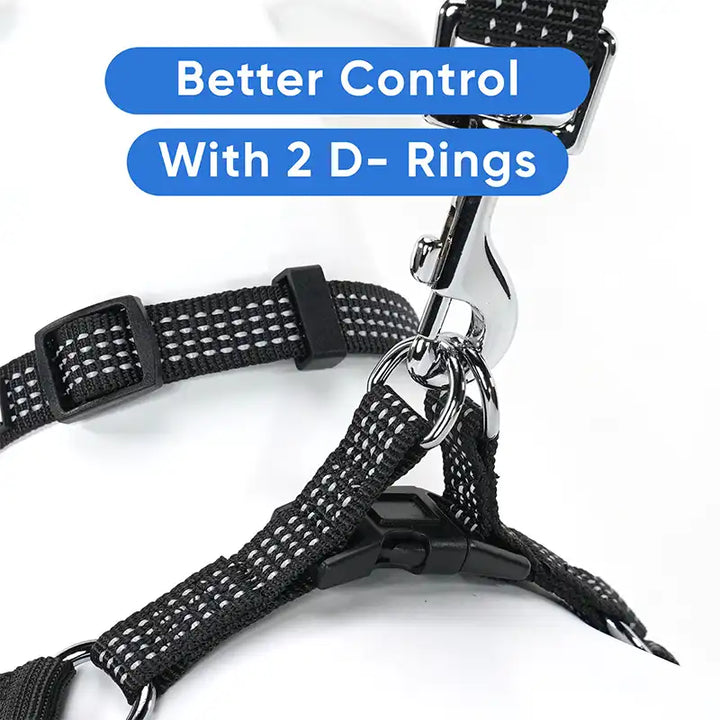 Personalized Custom Basic Dog Harness