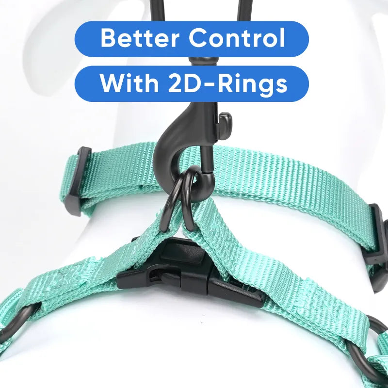 Personalized Solid Step-in Dog Harness
