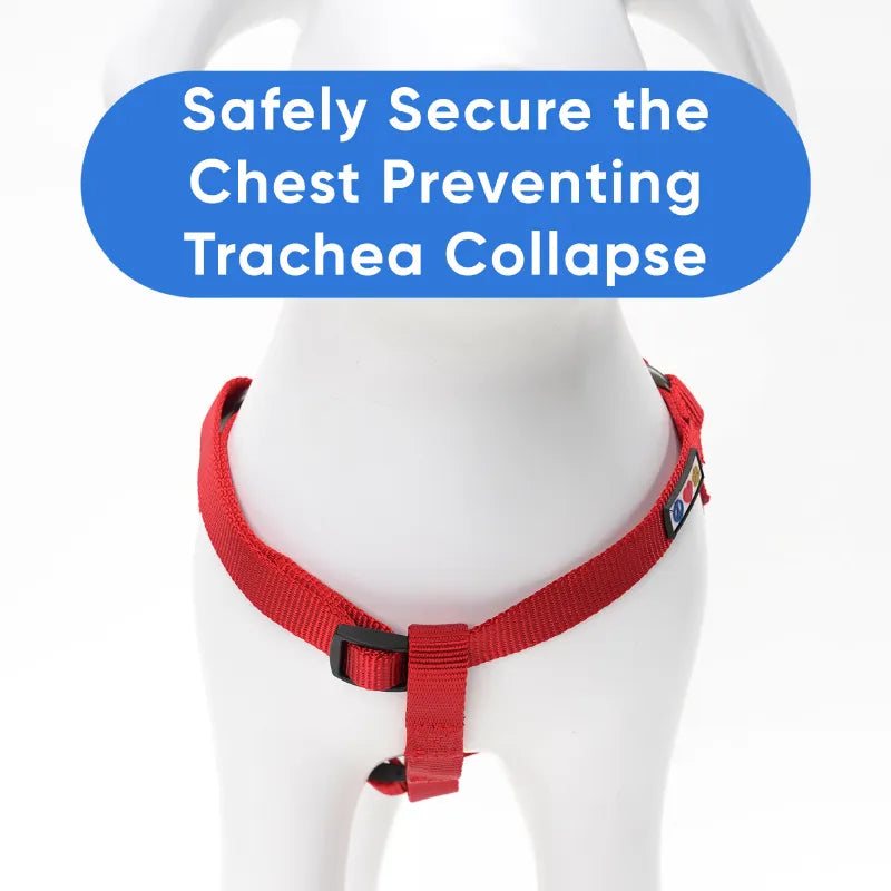 Solid Step-in Dog Harness