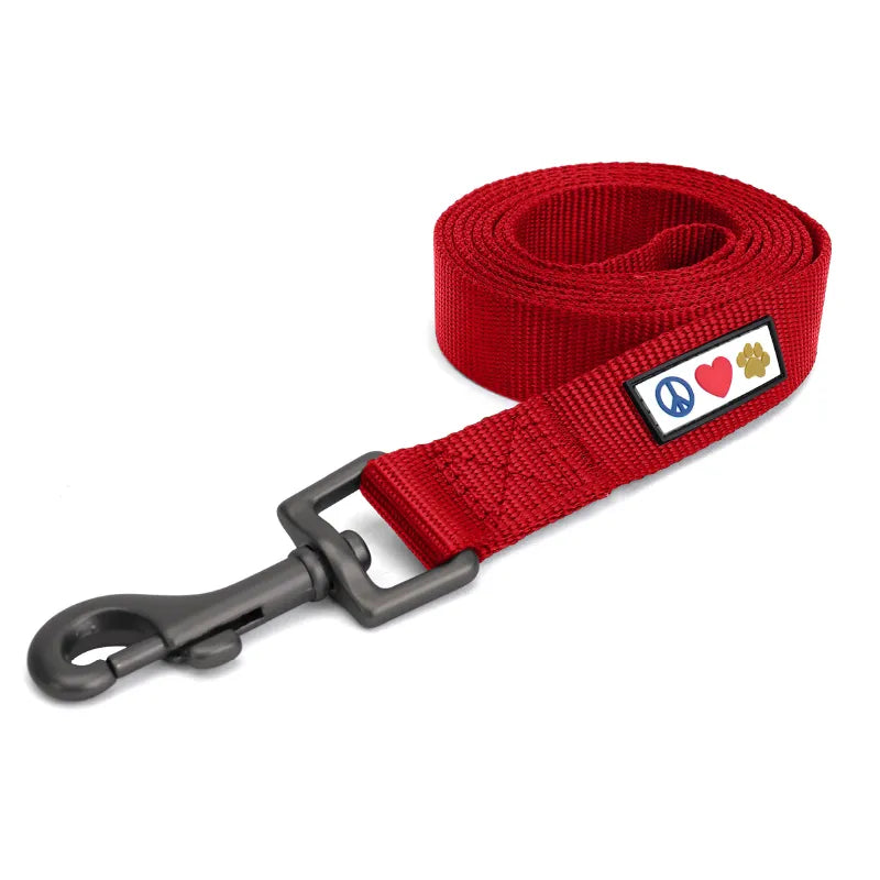 Solid Leash 6-FT