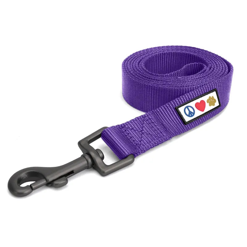 Solid Leash 6-FT